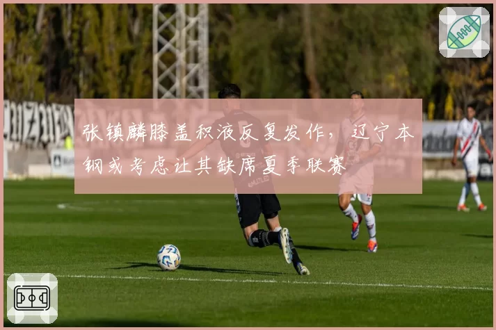 张镇麟膝盖积液反复发作，辽宁本钢或考虑让其缺席夏季联赛