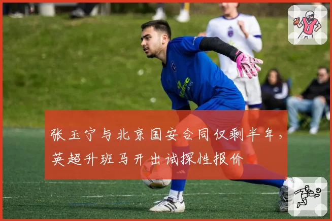 张玉宁与北京国安合同仅剩半年，英超升班马开出试探性报价