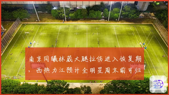 南京同曦林葳大腿拉伤进入恢复期,西热力江预计全明星周末前可归队