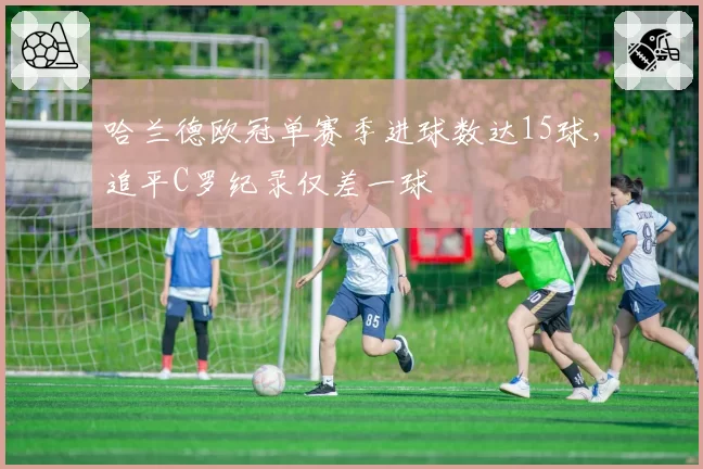 哈兰德欧冠单赛季进球数达15球，追平C罗纪录仅差一球